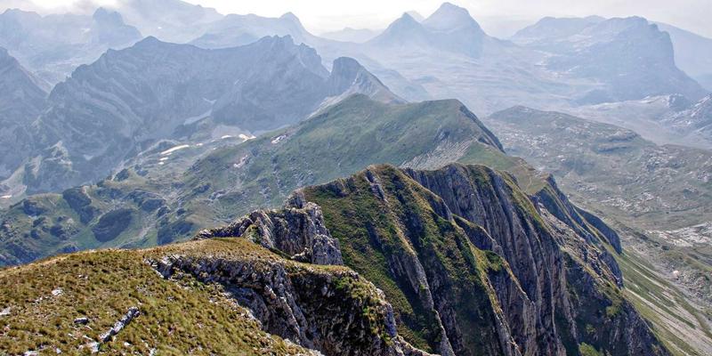 从田间到餐桌的透明追溯：喷码设备如何赋能农产品包装材料实现精准溯源