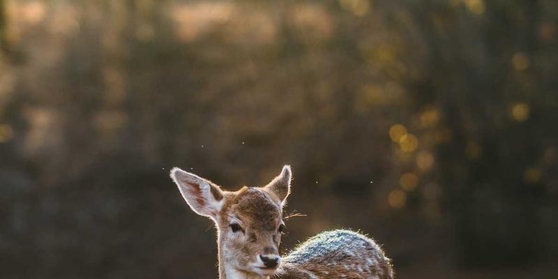 化妆品包装喷码：防伪追溯与个性化营销的双重解决方案