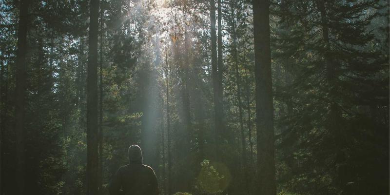 化工行业喷码包装解决方案：腐蚀性环境下的设备防护与标识持久性挑战