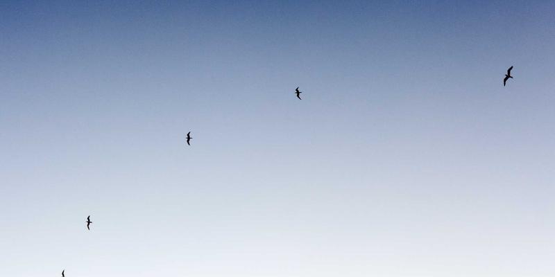 喷码包装54：工业标识技术的核心应用与未来趋势