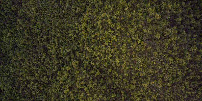 喷码包装：从标识到智能解决方案的演进之路