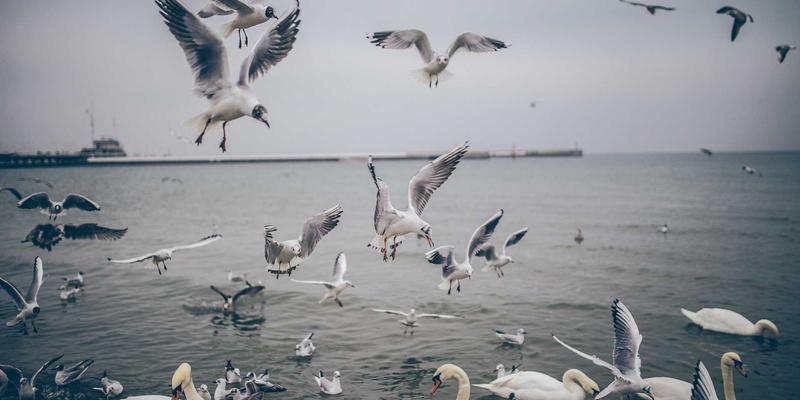 喷码包装油墨附着力测试标准与提升方案：打造可靠的包装解决方案