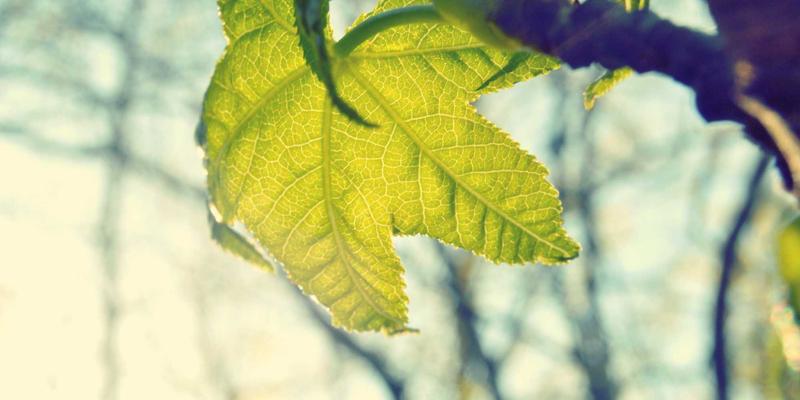 激光喷码与墨水喷码：包装解决方案的成本、效果与场景深度解析