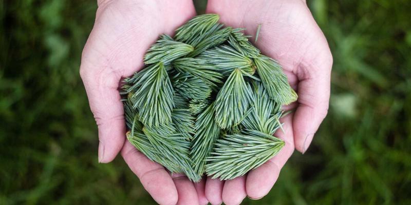 环保型喷码油墨与溶剂：驱动可持续包装解决方案的工业喷码关键技术